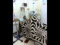 The ICU in Aleppo field hospital, supported by SAMS