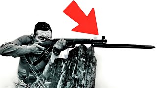 The Dark Reason Germans Hated American M1 Garand