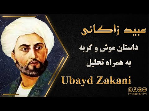 داستان موش و گربه از عبید زاکانی به همراه تحلیل داستان