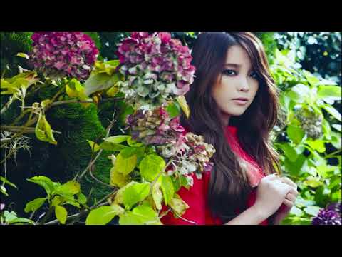 hindi gana video song hd hindi gana video song hd