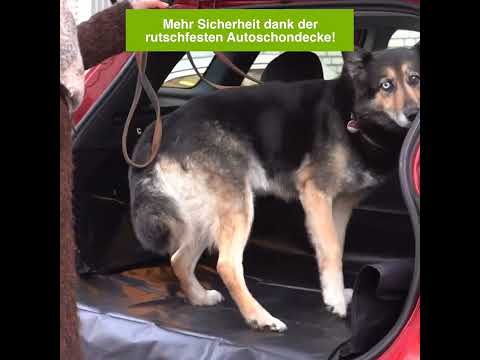 130x150cm) Auto Rücksitz Hundedecke Abdeckung Kofferraum Oxford