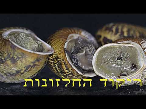 ריקוד החלזונות