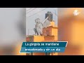 Esto Es Lo Que Se Sabe Sobre La Gárgola De Chimalhuacán
