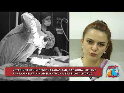 Patinin Hikayesi 53. Bölüm 3. Kısım