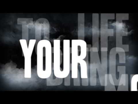 No Sleep For Lucy - Feel Alive (Lyric video)