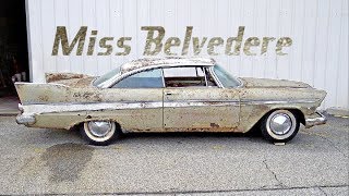 Miss Belvedere