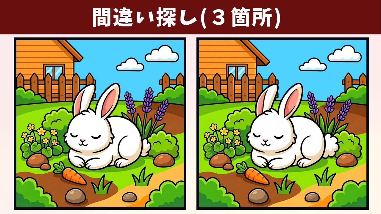 【間違い探し】動画で簡単に記憶力や認知力の向上！脳トレの習慣化で老化防止にも！【クイズ】