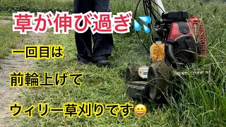 ウィリー草刈り！草が伸びすぎ💦エンスト対策です。2回刈りになります。