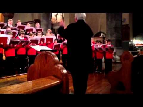 Mainzer Domchor Cathedral Choir Mainz New York Psalmo 150