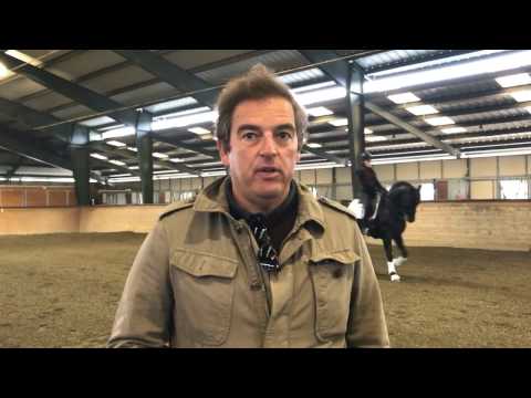 Enrique de Benito on Buying A PRE Horse for Dressage
