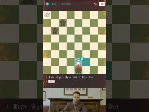 THE ROOOOOOOOOOOOK!!!!!  x  Gotham chess