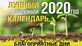 Благоприятный день для рыбалки июнь 2020