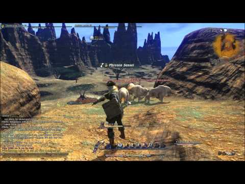 FFXIV - Rank 20 Thaumaturge Quest