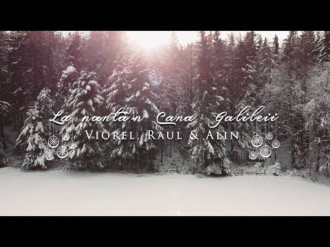 Viorel 🔔 Raul 🔔 Alin - La nuntă-n Cana Galileii ❄️COLINDE ARDEAL 2020 l 4K❄️