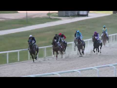 2022.06.12. 04. futam - NYERETLENEK VERSENYE (V.kat.) (szintetikus pálya)