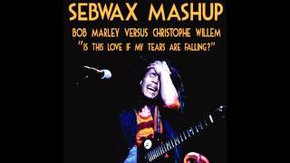 sebwax - BOB MARLEY vs CHRISTOPHE WILLEM 