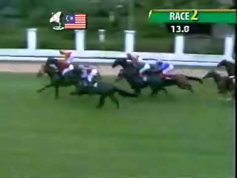 20110416 IPOH CLASS 5 1100M (STR) - SPEED LEOPARD (HK Cheng)