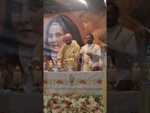 Festa Capela de Santa Terezinha (Mato Grosso) #imaculadaconceicao #stateresinha #sampaiocorreia
