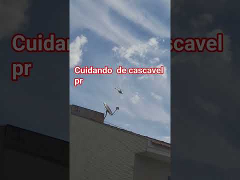 cuidando de cascavel pr