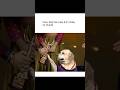 Dog Ki Movie Hindi Mai 777 Charlie Charlie Got Award Doglover Charlie Trending Lebradorlovers