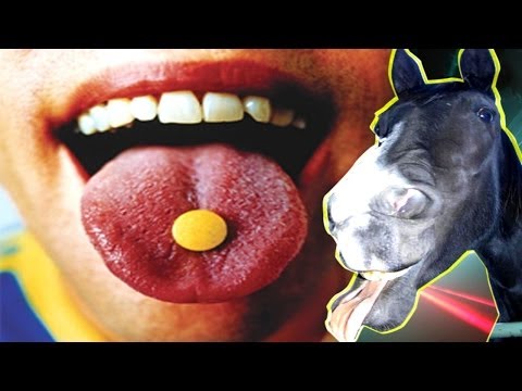 Reiten gefährlicher als Ecstasy? - DROGENNEWS #1 - angepinnten Kommentar beachten