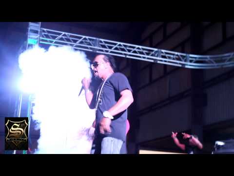 Sozio-vertigo fest 2013 full video