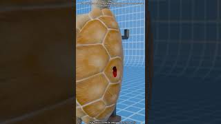 Puede dispararse una bala sin pistola?