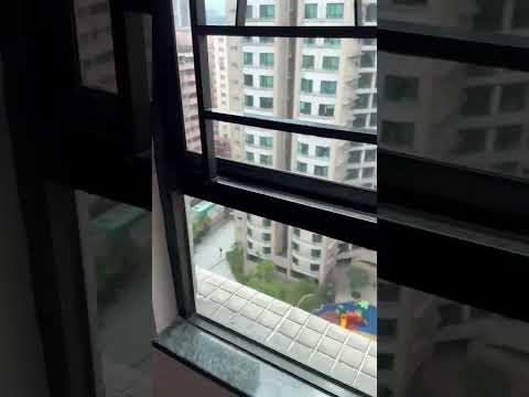 欣荣花园 Youtube Video 欣荣花园 Youtube Video