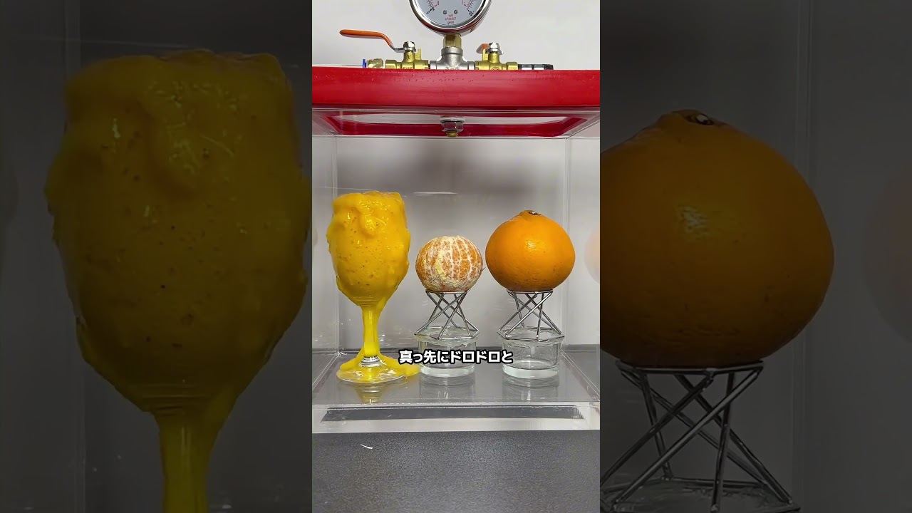 ビールとコーラを真空ボックスに入れたらどうなるのか#真空  #雑学 #豆知識