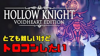 【HOLLOW KNIGHT】夢見の戦士「ゼロ」撃破｜トロコンを目指して #15【ホロウナイト】