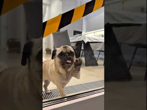 When Sonu did not brush his teeth for 3 days #youtubeshorts #viralshort