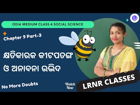 Khyatikaraka Kitapatanga O Anabana Udvida (କ୍ଷତିକାରକ କୀଟପତଙ୍ଗ ଓ ଅନାବନା ଉଦ୍ଭିଦ )  Class 4 Ame O Ama Paribesa Samajika Bigyana Chapter 9  Part-3 