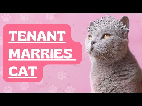 Tenant Marries Cat To Prevent Eviction