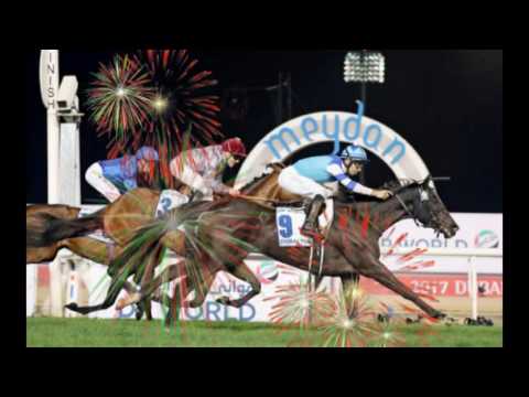 競馬ドバイ・ターフ、ヴィブロス優勝　佐々木元投手の所有馬