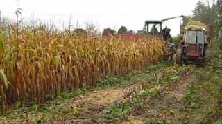 preview picture of video 'Ensilage maïs 2009 à SALLEN'