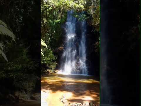 Piên PR cachoeira do Quick #brasil #viral #destino #adventure