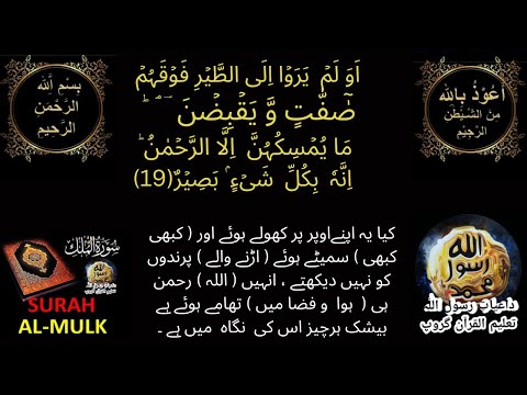SURAH MULK # Ayt19# Tajweed