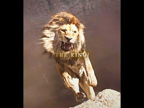 I will never Forget You Dad! - “Mufasa & Simba” (“The Lion King”) Edit丨Kamin - Emin & JONY (slowed)