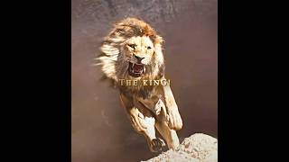 Download lagu I will never Forget You Dad! - “Mufasa & Simba” (“The Lion King”) Edit丨Kamin - Emin & JONY (slowed) mp3 Download lagu I will never Forget You Dad! - “Mufasa & Simba” (“The Lion King”) Edit丨Kamin - Emin & JONY (slowed) mp3