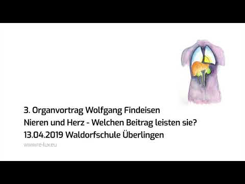 Wolfgang Findeisen - Organvortrag - Nieren und Herz