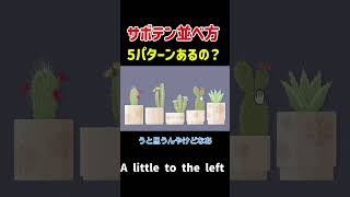 サボテン並べ方【a little to the left】 #ゲーム実況 #ゲーム #パズル #パズルゲーム #おかたづけ #ショート #アニメ #レトロゲーム