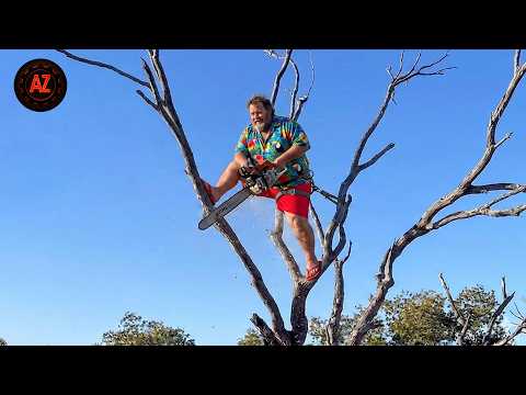 Idiots With Chainsaws: Tree Cutting Fails | Extreme Dangerous Logging Truck Fails #50