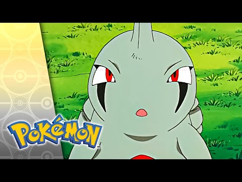 Hatch Me If You Can | POKÉMON FULL EPISODE 48 | Season 5
