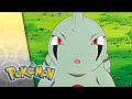 Hatch Me If You Can POKÉMON FULL EPISODE 48 Season 5