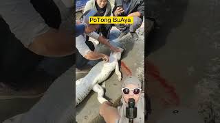 Download lagu PoTonG BuaYa #shorts #viral #shortvideo #trending mp3