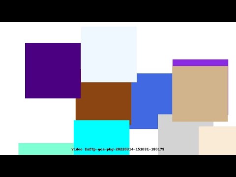 Video #sftp-gcs-pkg-20220314-151031-180179