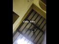 Kolkata Sonagachi Red Light Area Kolkata Sonagachi New Video Kolkata Sonagachi Room Video