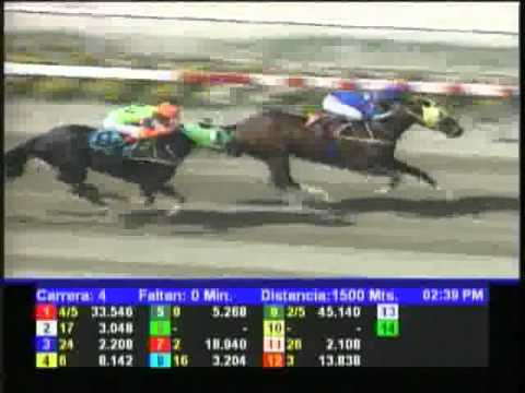 Resumen Domingo, 16 de Septiembre de 2012 - La Rinconada