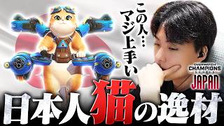【プロと観る】日本人の猫に、逸材を発見しました。【オーバーウォッチ/OW】