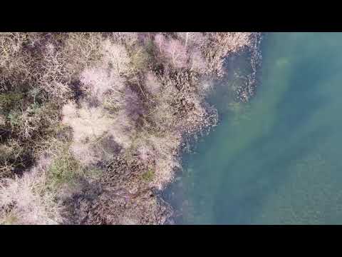 2020-01-30 - Venlo, Jammerdaal (2) - DJI Mavic Mini